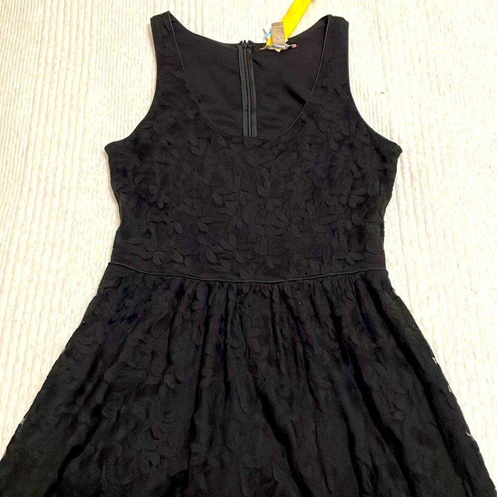 Banana Republic black daisy fit and flare dress